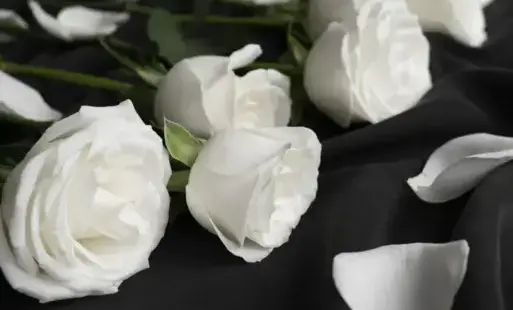 Zdjęcie do Kondolencje